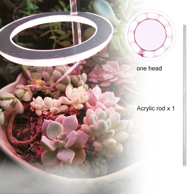 Angel Three Ring Grow Light DC5V USB Phytolamp For Plants Led Full Spectrum Lamp For Indoor Plant Seedlings Home Flower Succulet - Huna Loa