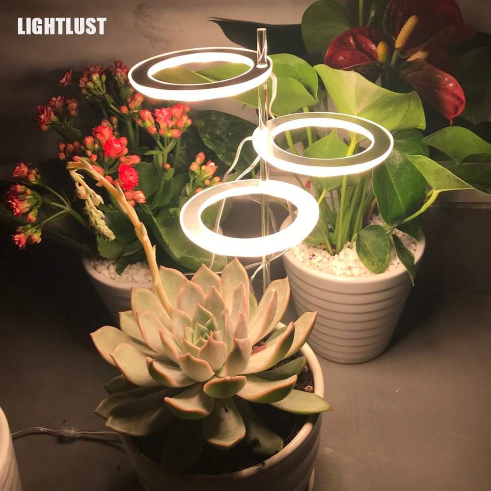 Angel Three Ring Grow Light DC5V USB Phytolamp For Plants Led Full Spectrum Lamp For Indoor Plant Seedlings Home Flower Succulet - Huna Loa