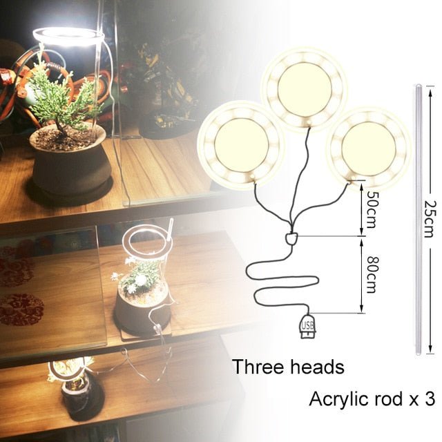 Angel Three Ring Grow Light DC5V USB Phytolamp For Plants Led Full Spectrum Lamp For Indoor Plant Seedlings Home Flower Succulet - Huna Loa