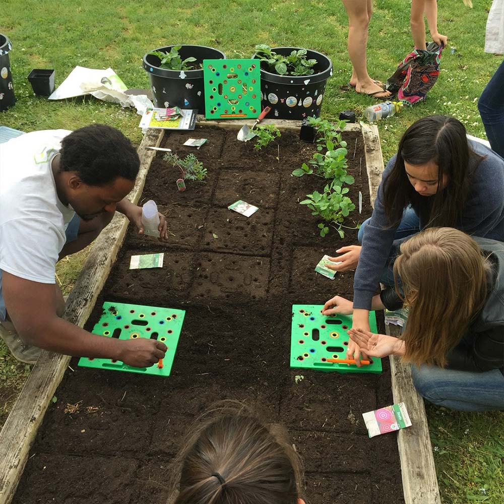 Copy of Seeding Square™ - Ultimate Garden Template + 'Seed 2 Splendor' Guidebook - Huna Loa