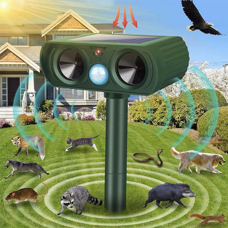 Seeding Square™ - TGK - Huna Loa