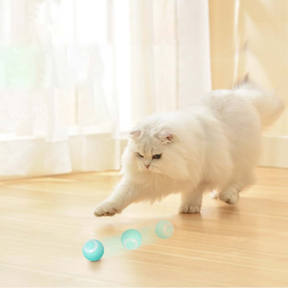 KittyBopper™ - Ultimate Interactive Cat Toy (2 Pack)