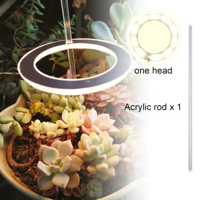Angel Three Ring Grow Light DC5V USB Phytolamp For Plants Led Full Spectrum Lamp For Indoor Plant Seedlings Home Flower Succulet - Huna Loa