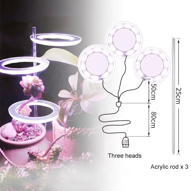 Angel Three Ring Grow Light DC5V USB Phytolamp For Plants Led Full Spectrum Lamp For Indoor Plant Seedlings Home Flower Succulet - Huna Loa