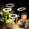 Halo Plant Light™ - Portable LED Grow Light - Huna Loa