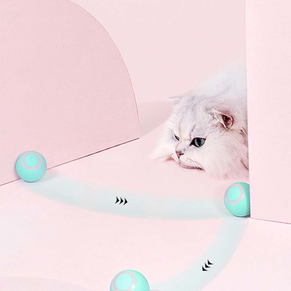 KittyBopper™ - Ultimate Interactive Cat Toy - Huna Loa